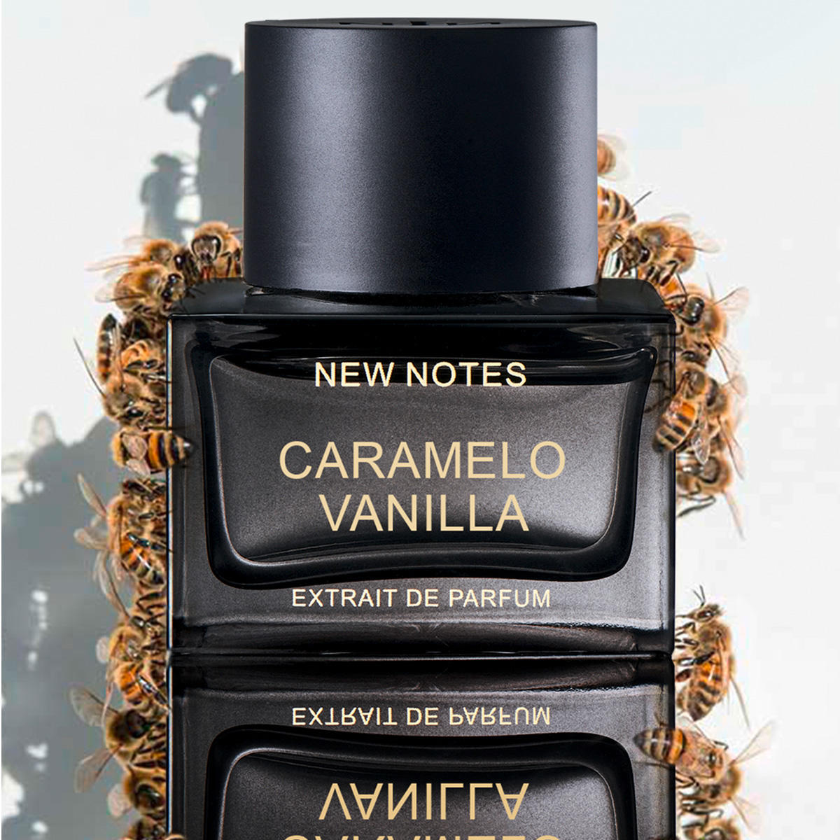 NEW NOTES Caramelo Vanilla Extrait de Parfum