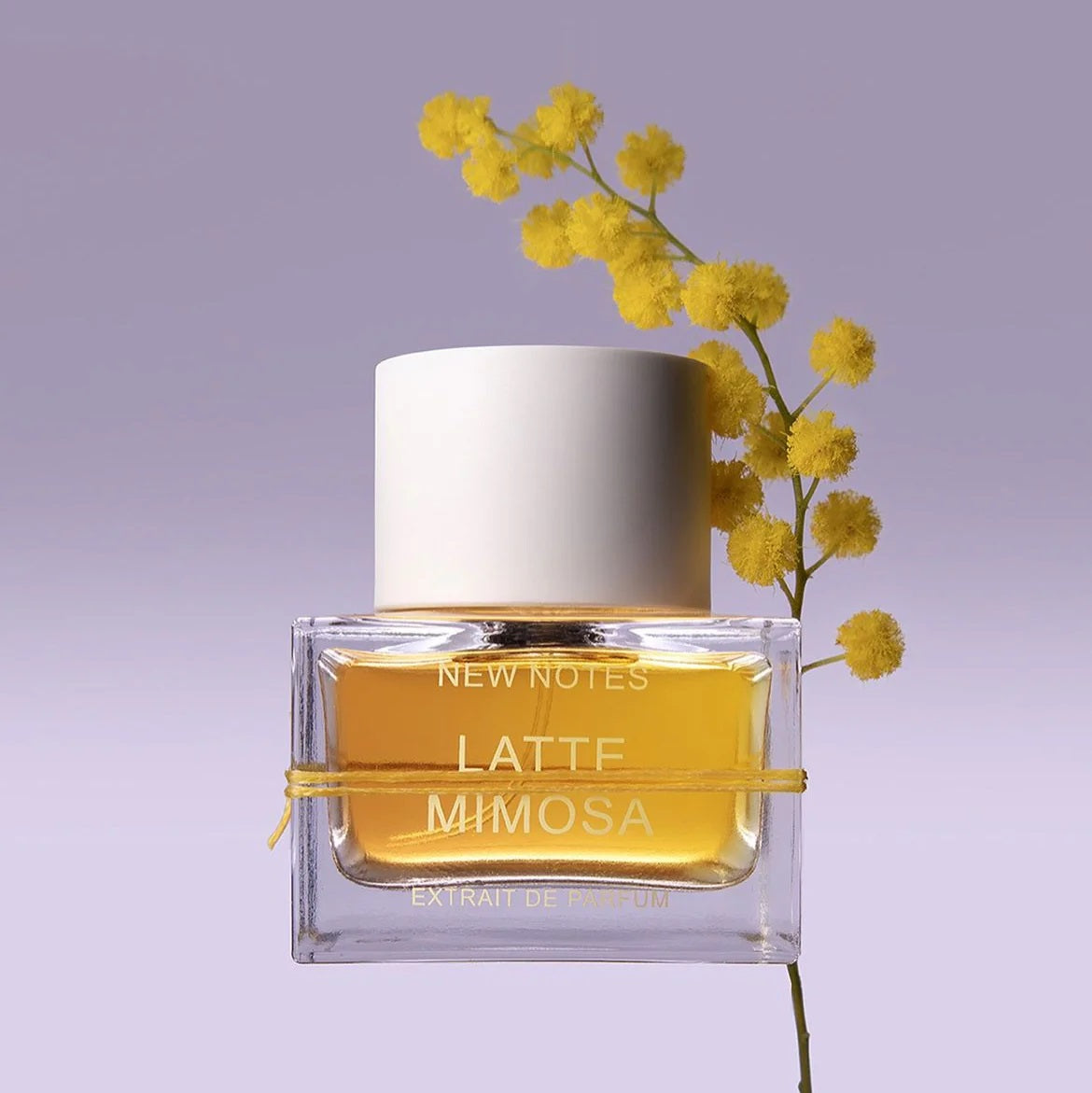 NEW NOTES Latte Mimosa Extrait de Parfum