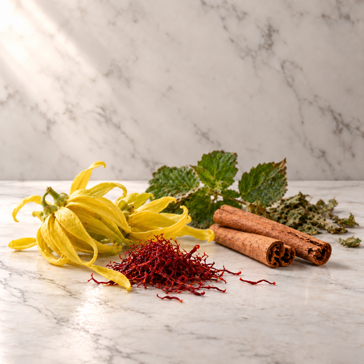 Ausgewählte Duftnoten von Fragrance du Bois Cavort Extrait de Parfum: Safran, Ylang-Ylang, Patchouli, Zimt auf hellem Marmor
